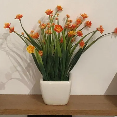 Casa Sipontina * 바를레타